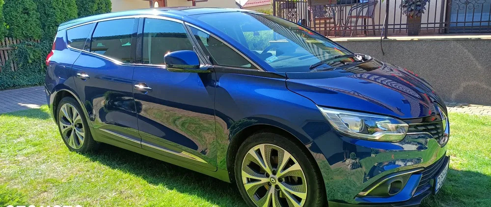 wielkopolskie Renault Grand Scenic cena 72500 przebieg: 88000, rok produkcji 2019 z Buk